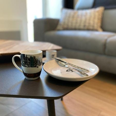 Ferienwohnung Plein Centre, T3 5P Totalement Renove 55M2. Wifi Cauterets Exterior foto